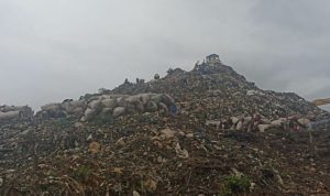 Screenshot_20260317_151027~2